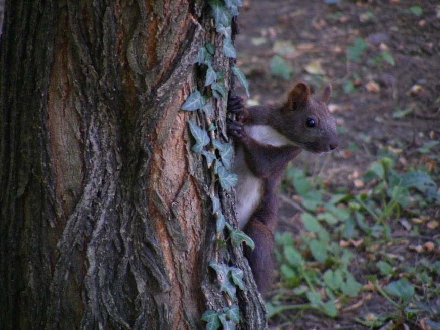 DSCF3098.JPG