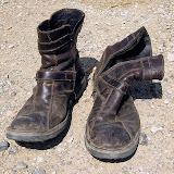 DSCN7739.jpg