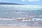 IMGP3104.jpg IMGP3104.jpg