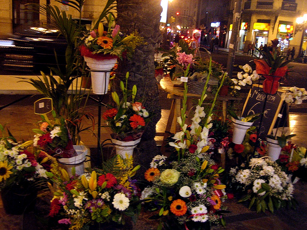 [IMG_1323%255B11%255D.jpg]