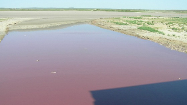 OC Fisher, a reservoir in West Texas, has turned blood-red as drought has left it stagnant and full of dead fish and Chromatiaceae bacteria, 2 August 2011. Texas Parks and Wildlife Inland Fisheries -- San Angelo