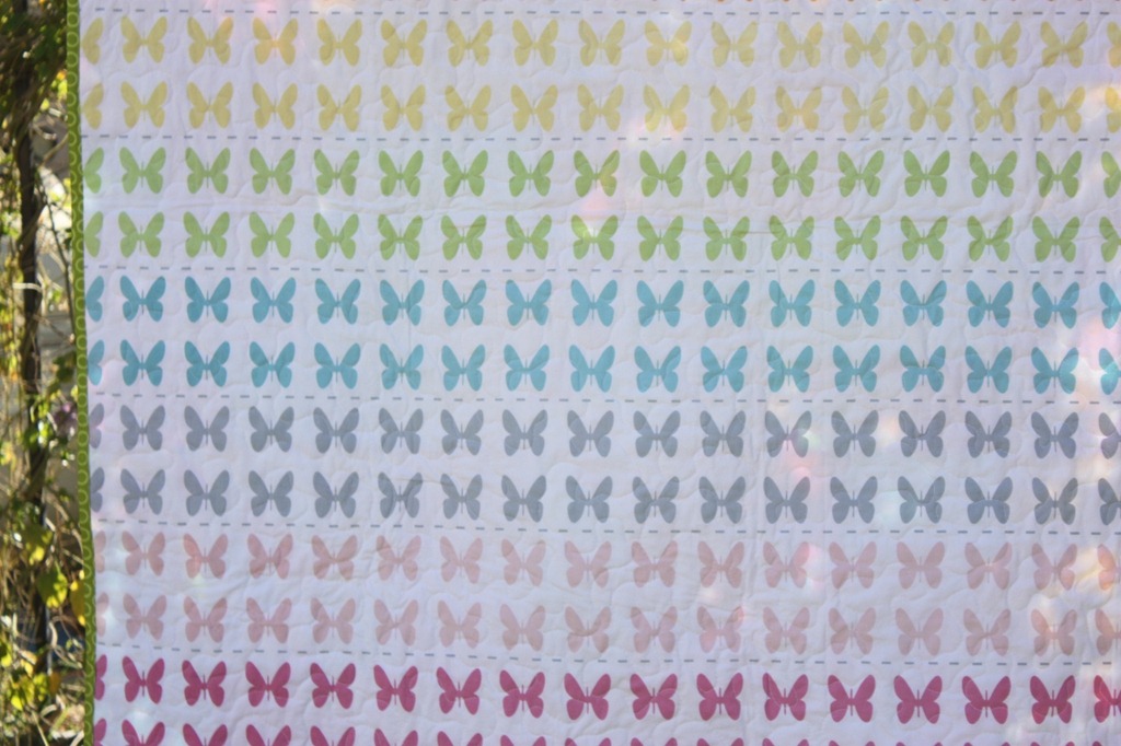 [Butterfly%2520backing%255B4%255D.jpg]