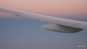 IMG_3693.jpg