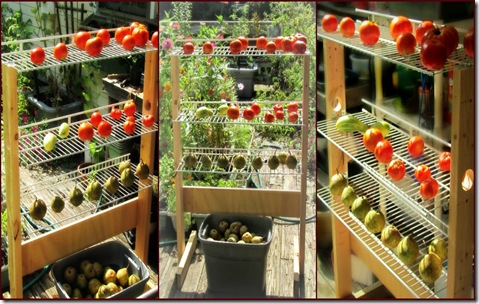 Ripening shelf collage