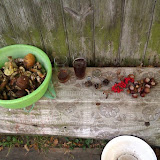Country life