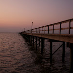 IMG_3542.jpg