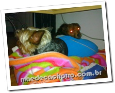 Primeira soneca na mesma cama com o irmão (e única, que eu gosto do meu espaço, hehe) Primeira soneca na mesma cama com o irmão (e única, que eu gosto do meu espaço, hehe)