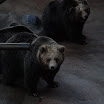 hokkaido_577.jpg