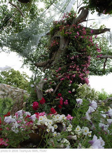 'Secret garden' photo (c) 2006, Toshiyuki IMAI - license: http://creativecommons.org/licenses/by-sa/2.0/