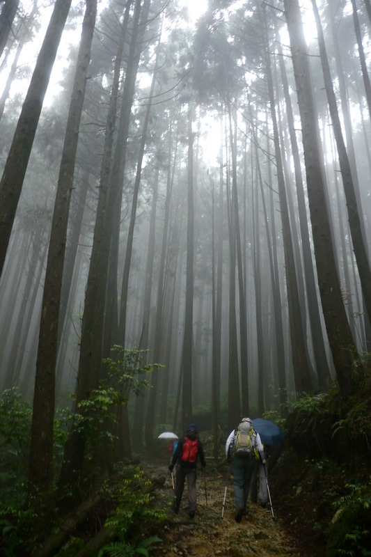 2013_0413 橫嶺山木馬古道_032