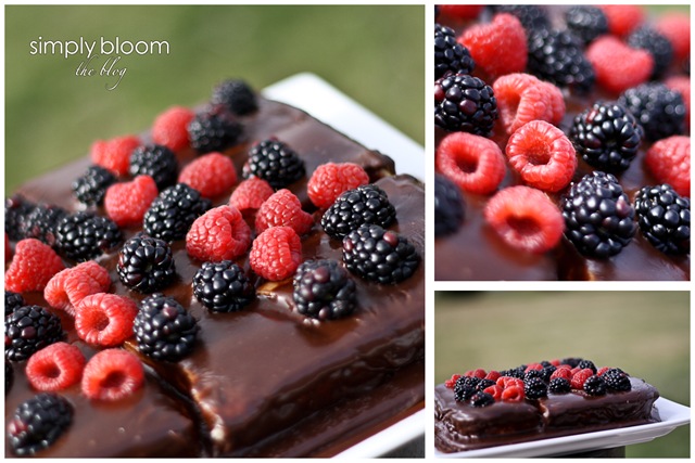 [Cheesecake%255B9%255D.jpg]