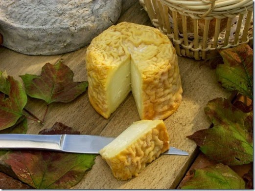 chaource-vinho-e-delicias chaource-vinho-e-delicias
