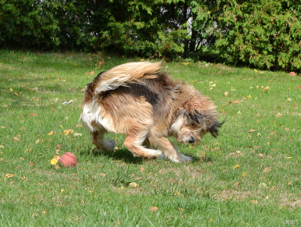 [DSC_3642%255B4%255D.jpg]