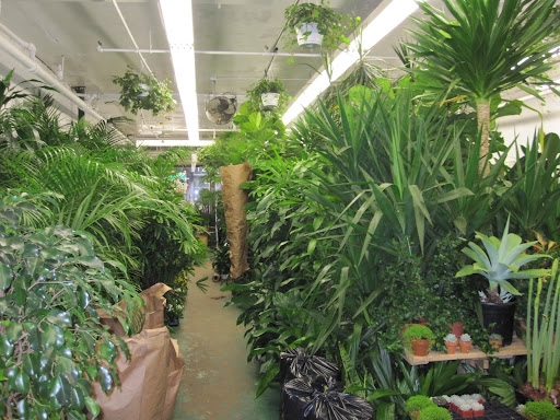 Here is a view from the back of the shop.
