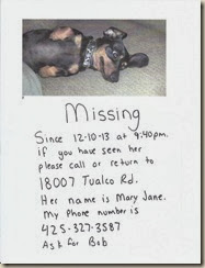 lost pup