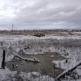 Spencer Island January 2012