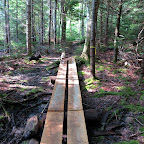 I suppose I would have remained clean had I kept on the board walk.