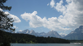 IMG_4216.jpg