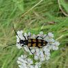 dsc01189.jpg