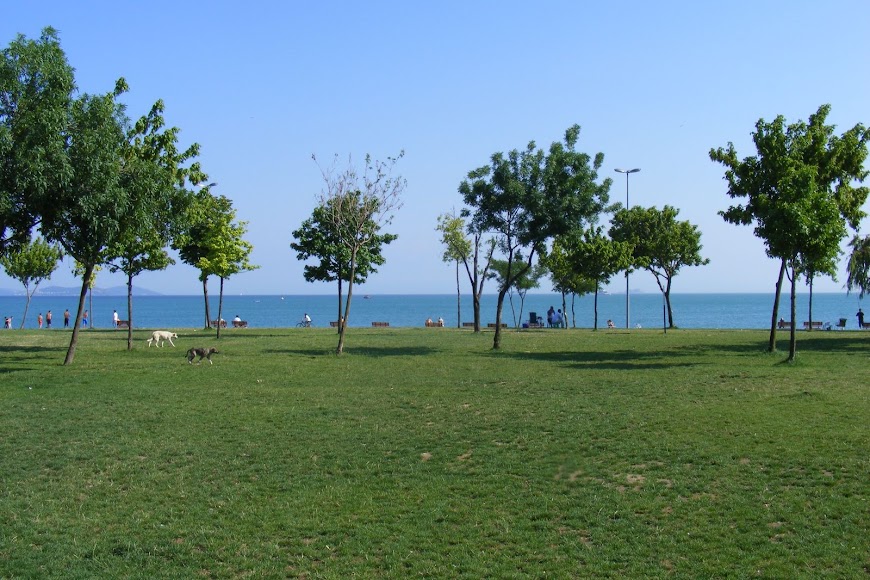 DSCF8590.JPG