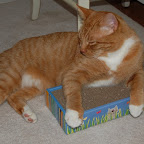 herc at home 2.JPG
