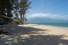 DSC_1065.JPG