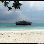 IMG_8743.JPG
