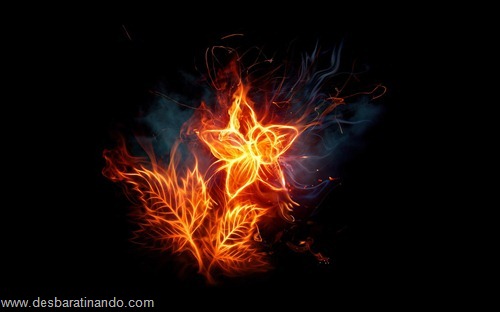 wallpapers fogo fire desbaratinando (1) wallpapers fogo fire desbaratinando (1)