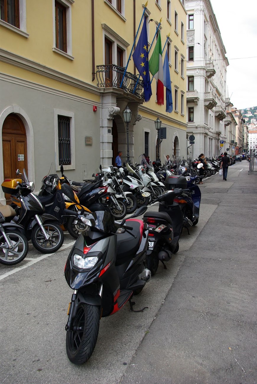 IMGP4279.JPG