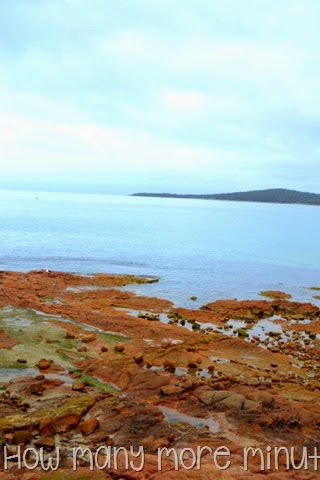 [DSC_3454%255B3%255D.jpg]