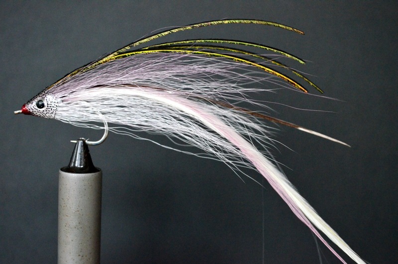 [DSC_0234%255B4%255D.jpg]