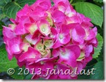 IMG_0480 IMG_0480