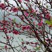 DSC_0789.jpg