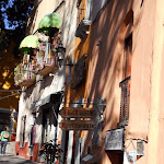 DSCN7245.JPG