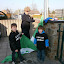 Groene vlag