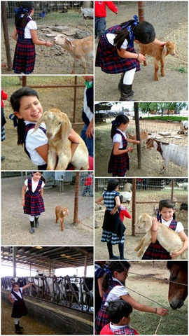 [ecf3feedinganimalsv29.jpg]