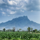 Gunung Ringgit (Andy Dean, July 2011)