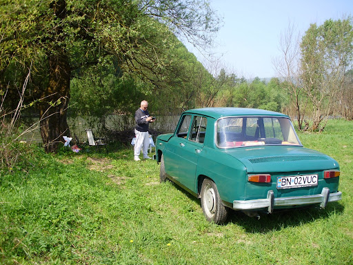 Dacia 1100 a inplinit 40 de