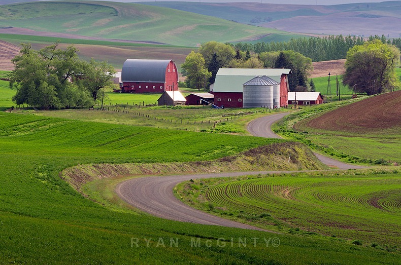 palouse-18 palouse-18