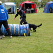 DSC00803.JPG