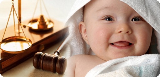 baby lawyer