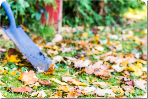 shovel and leaves out of focus