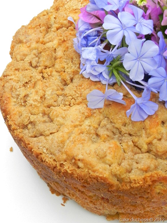 [fresh-apple-coffeecake-4%255B1%255D.jpg&description=Fresh Apple Coffee Cake')]
