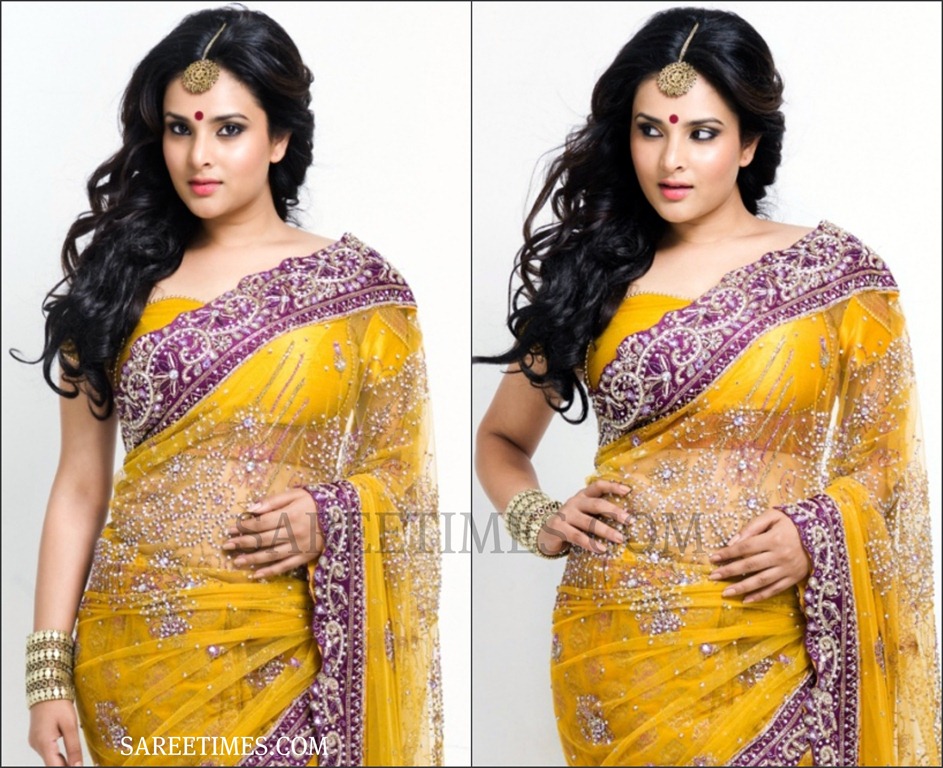 [Divya_Spandana_Embrpoidery_Shimmer_Saree%255B3%255D.jpg]