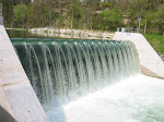 IMG_5504.JPG