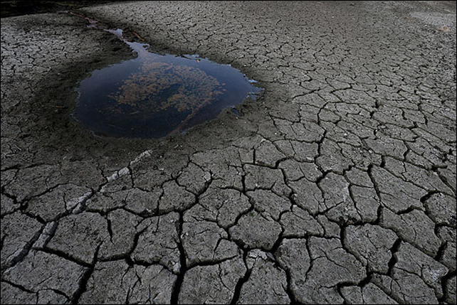 A small pool of water is surrounded by dried and cracked earth at the bottom of the Almaden Reservoir in San Jose. Gov. Jerry Brown and President Obama discussed the state's drought situation Wednesday, 29 January 2014. Photo: Justin Sullivan / Getty Images