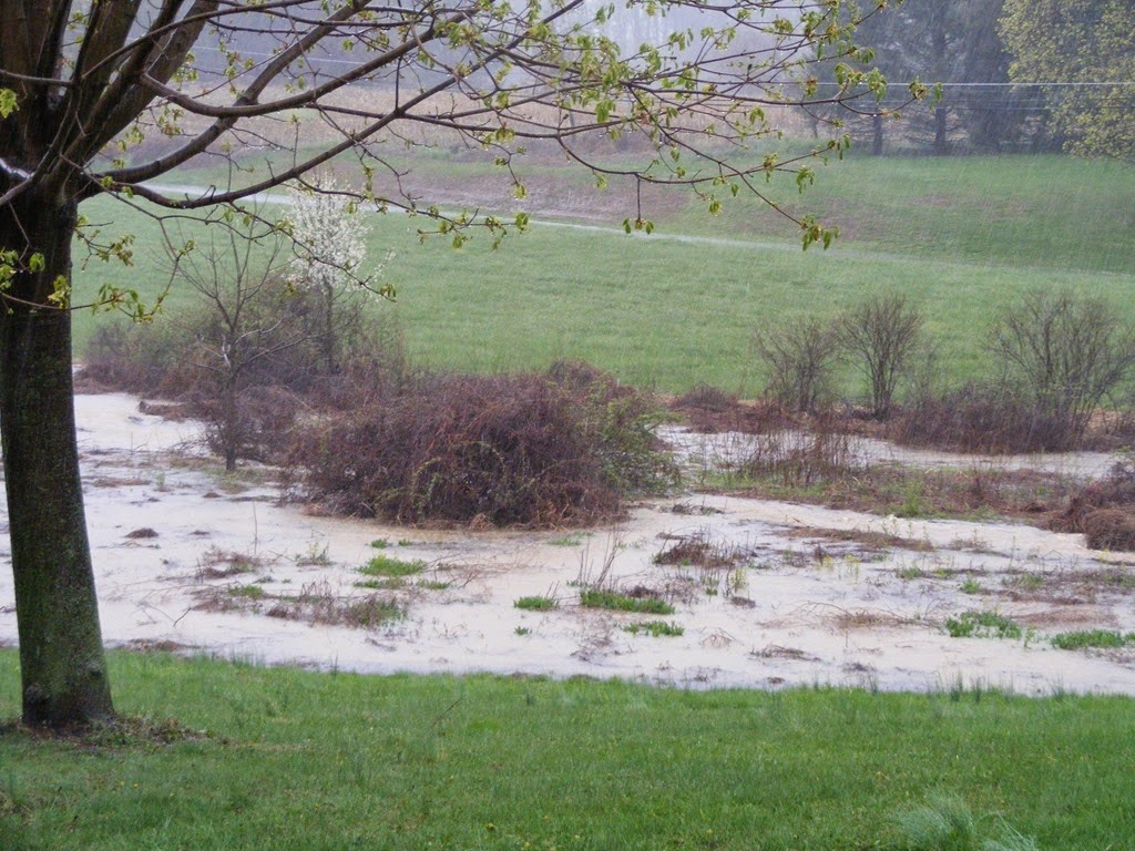 [DSCF2551%255B4%255D.jpg]