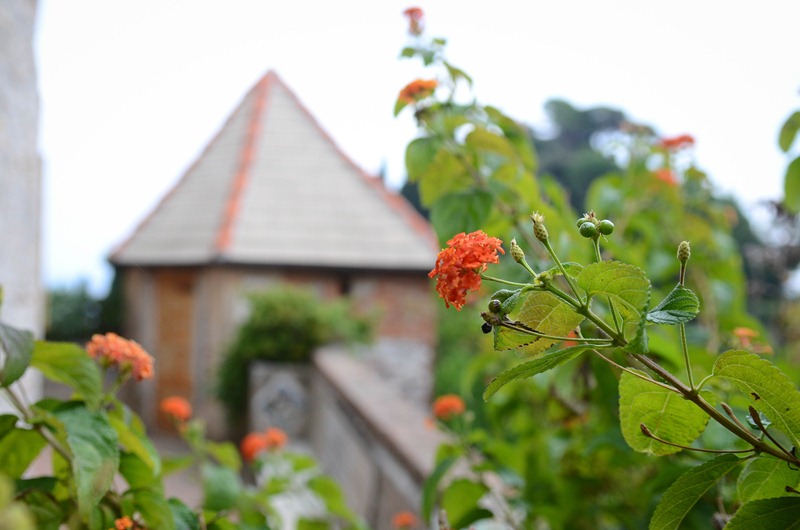 [Portofino%2520tower%2520and%2520flowers%255B3%255D.jpg]