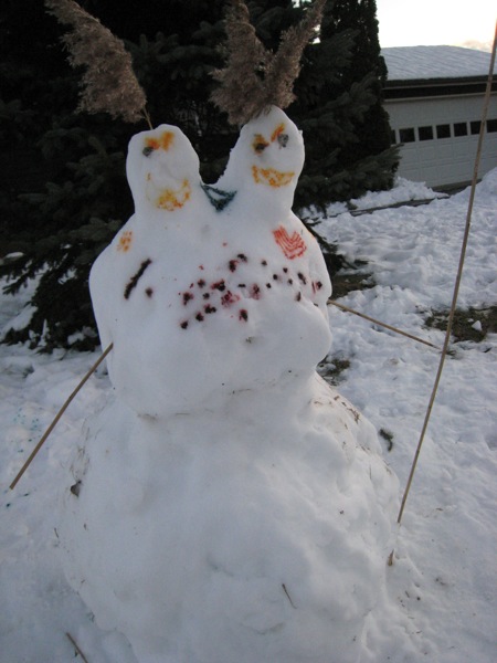 IMG_0853.jpg IMG 0853