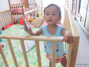 พู่กันเริ่มหายป่วยแต่ยังคึกเป็นม้า